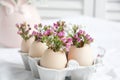 Easter decor - Flowers in eggshells Royalty Free Stock Photo