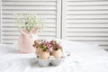 Easter decor - Flowers in eggshells Royalty Free Stock Photo