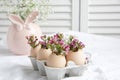 Easter decor - Flowers in eggshells Royalty Free Stock Photo