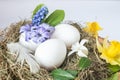 easter decor in a natural style. The eggshell is decorated with hyacinths and daffodils and leaves, Zero waste, blur Royalty Free Stock Photo