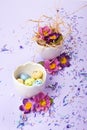 Easter decor in pastel colors. Easter eggs, candy, sweets, flowers and eggshells. Royalty Free Stock Photo