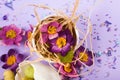Easter decor in pastel colors. Easter eggs, candy, sweets, flowers and eggshells. Royalty Free Stock Photo