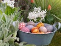 Easter decorated eggs in a vintage metal basket in a flower garden Royalty Free Stock Photo