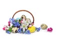 Easter decoration. Basket with Easter eggs and flowers apple tree and blue flowers forget-me-not on a white background