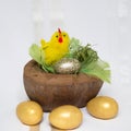 Easter chicken in coconut shell Royalty Free Stock Photo