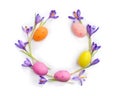 Easter decoration. Circle Easter frame of flowers violet crocuses, colored easter eggs on white background with space for text. Royalty Free Stock Photo