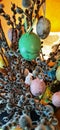 Easter decoration - colorful eggs hanging on flower branches, young and playful, spring Royalty Free Stock Photo