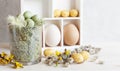 Easter decoration Easter eggs in the nest, chicken eggs, spring flowers and feathers in the glass vase