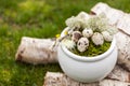 Easter decoration Easter eggs in the nest and feathers in the white vase on birch logs on green grass outdoor