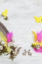 Easter decoration with Easter eggs on white wood background Royalty Free Stock Photo