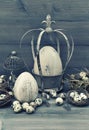 Easter decoration with eggs, nest and birdcage Royalty Free Stock Photo