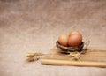 Easter decoration with eggs in the nest with spikes of wheat on bright board on sackcloth background Royalty Free Stock Photo