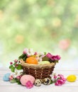Easter decoration. Flowers apple tree, colored easter eggs and quail eggs in the basket on white plank table