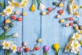 Easter decoration. A frame of flowers and eggs on blue wooden boards