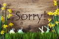 Easter Decoration, Gras, Text Sorry