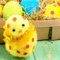 Easter decoration with little cute chick and Easter eggs in the Royalty Free Stock Photo