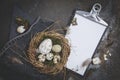 Easter decoration with nest and egg on dark background Royalty Free Stock Photo