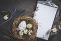 Easter decoration with nest and egg on dark background Royalty Free Stock Photo