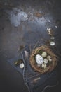 Easter decoration with nest and egg on dark background Royalty Free Stock Photo