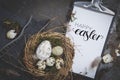 Easter decoration with nest and egg on dark background Royalty Free Stock Photo