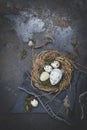 Easter decoration with nest and egg on dark background Royalty Free Stock Photo