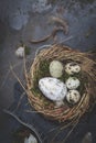 Easter decoration with nest and egg on dark background Royalty Free Stock Photo