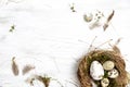 Easter decoration with nest and egg on white wood background Royalty Free Stock Photo