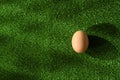 Easter decoration from one egg, on grass in sunlight, as a green background Royalty Free Stock Photo
