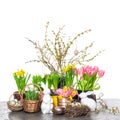 EASTER decoration with spring flowers and eggs Royalty Free Stock Photo