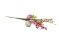 Easter decoration - twig branch with colorful easter eggs, isolated on white background