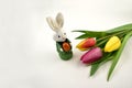 Colorful tulips with Easter bunny stock images