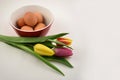 Colorful tulips with Easter Eggs stock images