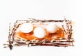 Easter decoration. White eggs and willow branches on background with sparkles.Festive concept, minimalism. Close-up