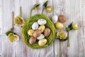 Easter decoration yellow green on wooden background