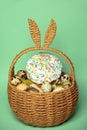 Easter decorations in a basket with rabbit ears. Easter cake and eggs on moss, quail eggs and feathers on mint green background Royalty Free Stock Photo