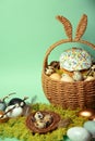 Easter decorations in a basket with rabbit ears. Easter cake and eggs on moss, quail eggs and feathers on mint green background. Royalty Free Stock Photo