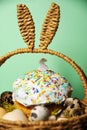 Easter decorations in a basket with rabbit ears. Easter cake and eggs on moss, quail eggs and feathers on mint green background. Royalty Free Stock Photo