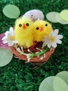Easter decorations, chicks in a nest Royalty Free Stock Photo