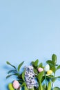 Easter decorations color decorative eggs, gentle hyacinth flower, green leaves on blue. Copy space. Royalty Free Stock Photo