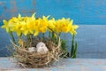 Easter decorations. Eggs in nests on wood