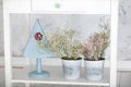 Easter decorations with spring white flowers in pots and a decorative blue birdhouse on table. Bouquet Gypsophila. Easter home dec Royalty Free Stock Photo