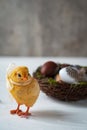 Easter decorative chicken with a bow sits inside a nest.