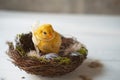 Easter decorative chicken with a bow sits inside a nest .