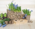 Easter decorative composition on a wooden background. Spring.