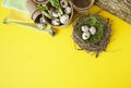 Easter decorative composition on a yellow background. Nest with quail eggs.