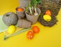 Easter decorative composition on a yellow background.Nest with quail eggs.