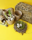 Easter decorative composition on a yellow background.Nest with quail eggs.