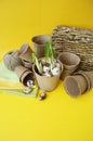 Easter decorative composition on a yellow background.Nest with quail eggs.