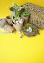 Easter decorative composition on a yellow background.Nest with quail eggs.