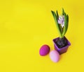 Easter decorative composition on a yellow background.Nest with quail eggs.